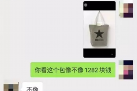 西乡塘遇到恶意拖欠？专业追讨公司帮您解决烦恼